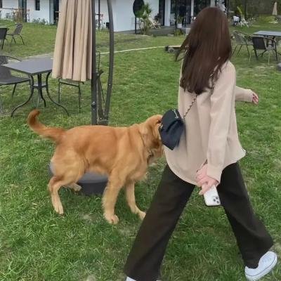 恐怖特快